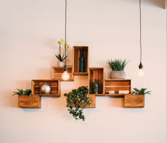 plants on crates on a wall