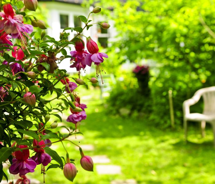 relaxing garden